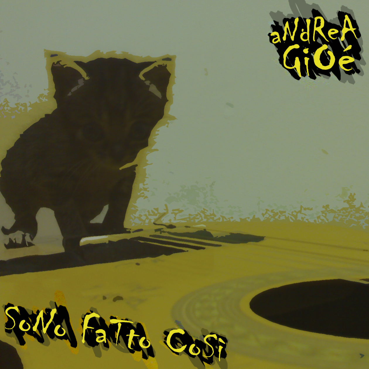 Sono fatto cosi